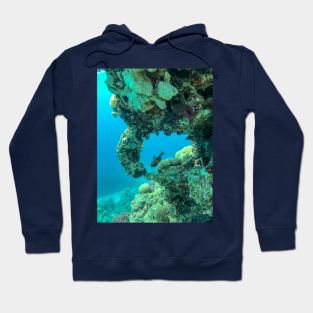 Coral reef and fish Hoodie